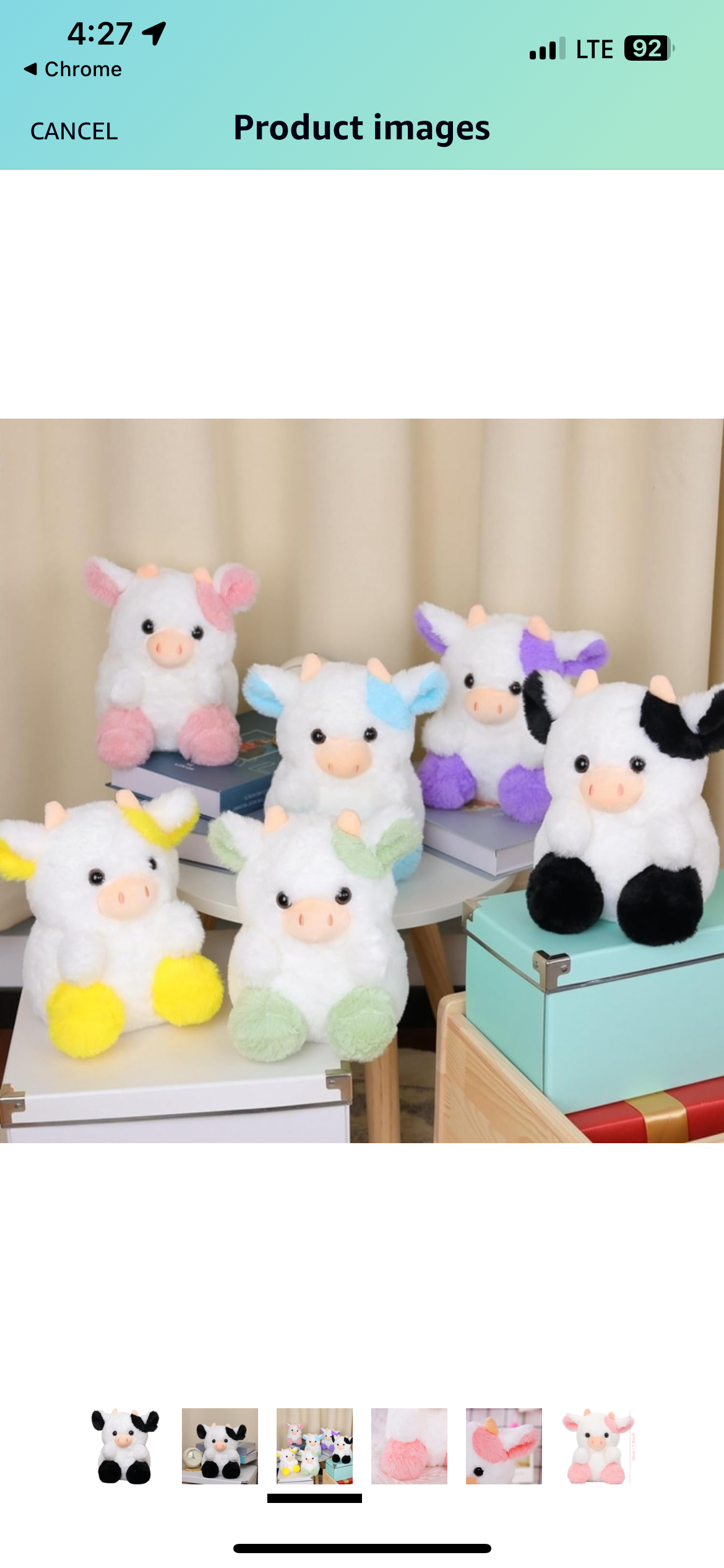 Cow Bouquet