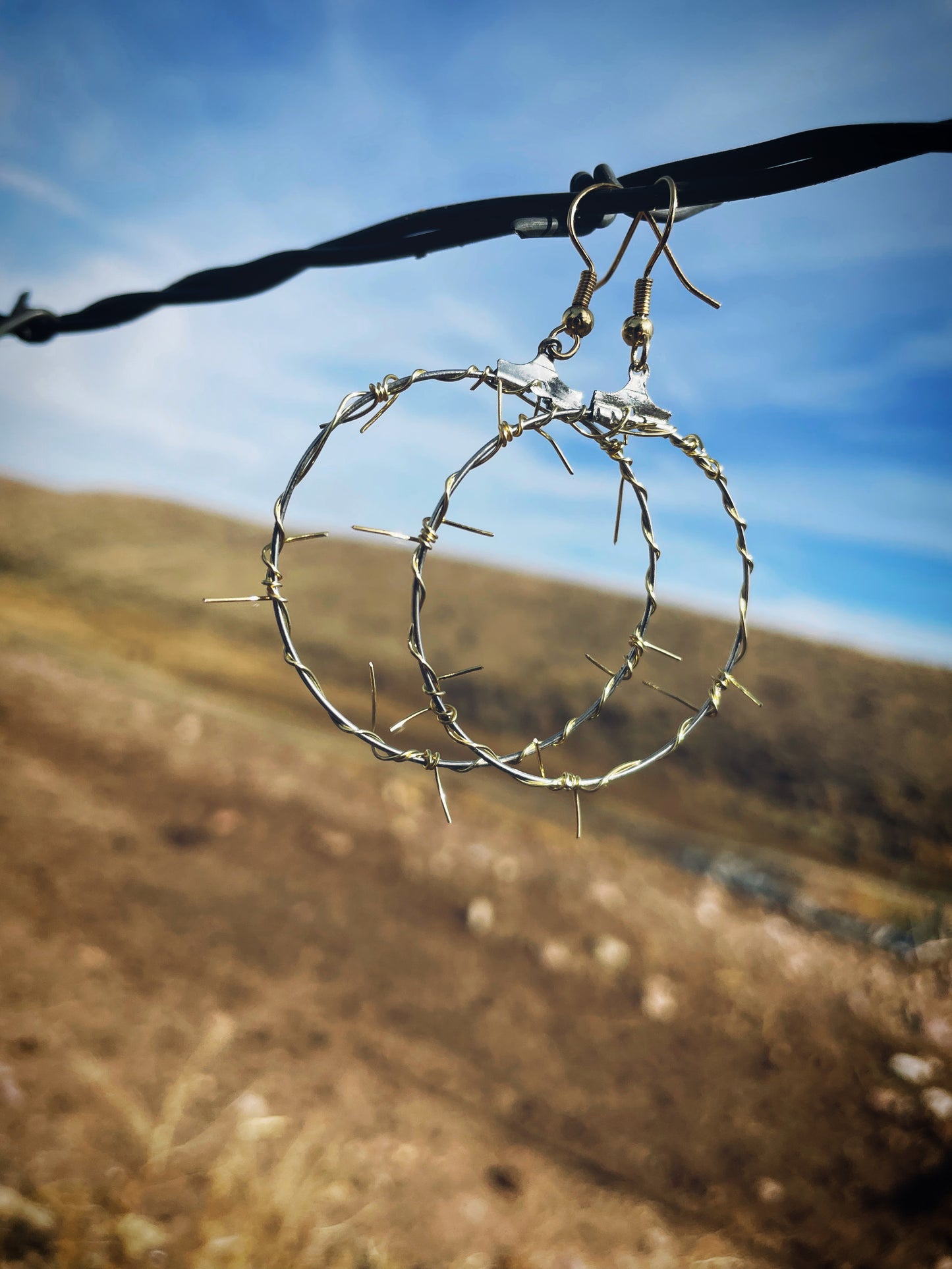 Silver and gold barbed wire hoops
