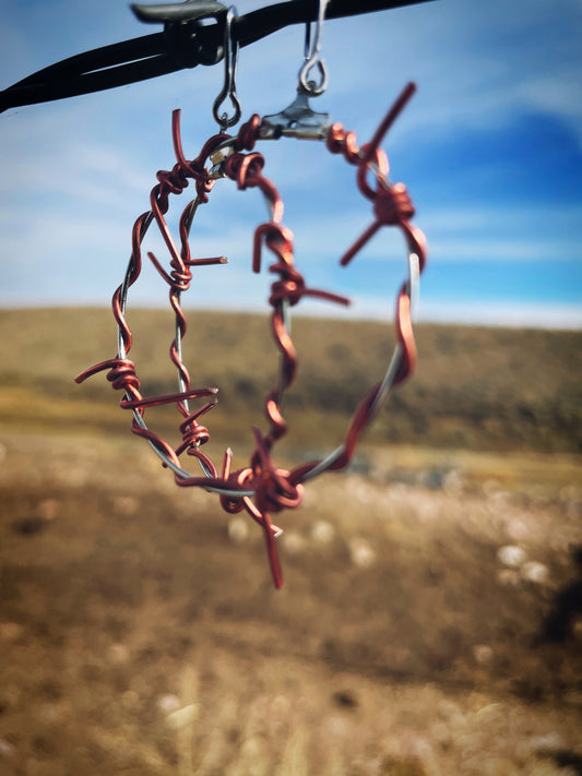 Pink and silver barbed wire hoops